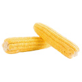 China Frozen Food Yellow Fruit Sweet Corn